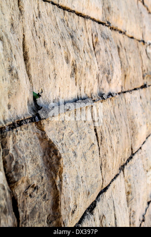 Muro di pietra in una città del mediterraneo Foto Stock