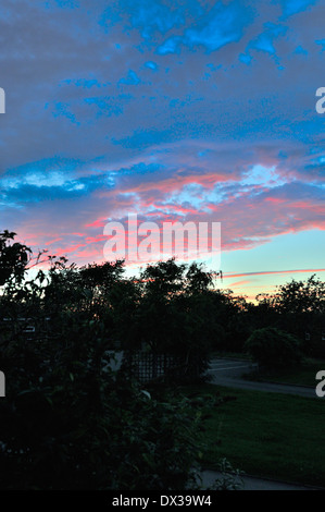 Alberi stagliano contro un cielo di sera. Foto Stock