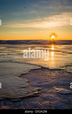 Piccolo albero stagliano contro il sorgere del sole sulla neve ghiaccio campo coperto. Foto Stock