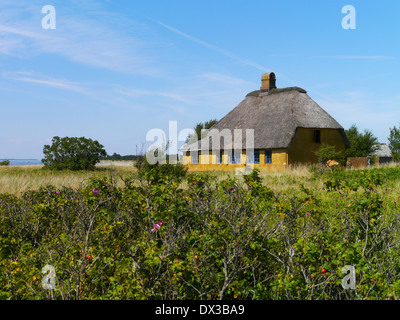 Casa thratched su årø (aaro), Piccolo Belt, Danimarca Foto Stock