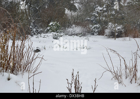Orto sotto la neve in gennaio. "Potager de Suzanne', Mayenne, Pays de la Loire, Francia. Foto Stock