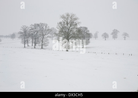Il paesaggio è sotto la neve, querce, campagna del nord Mayenne, Paese della Loira, Francia,l'Europa). Foto Stock