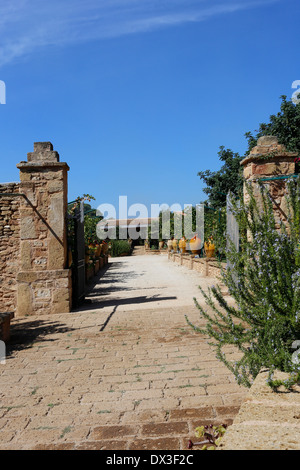 Masseria Provenzani, una fattoria convertita in Puglia, Italia, ora Country House sistemazione in hotel. Foto Stock