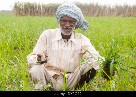 Indian agricoltore lavora in azienda Foto Stock