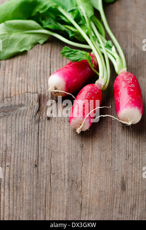 Ravanelli fresco su una tavola di legno Foto Stock