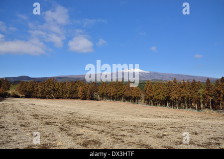 Vista della montagna Hanla in Jeju Island, Corea Foto Stock