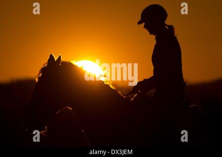 Stuttgart, Germania. Xvii Mar, 2014. Una donna che cavalca un cavallo prima del sole al tramonto vicino a Stoccarda, Germania, 17 marzo 2014. Foto: Sebastian Kahnert/dpa/Alamy Live News Foto Stock