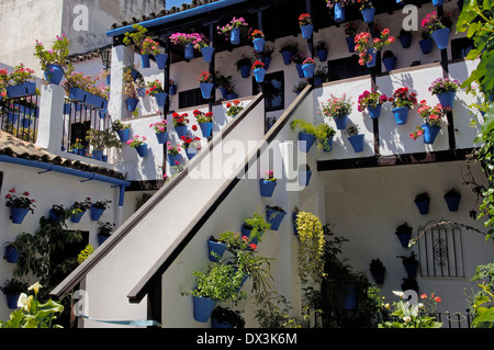 Tipico cortile, Cordoba Foto Stock