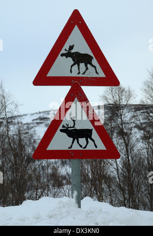 Le alci e renne cartelli di avvertimento, nel nord della Norvegia Foto Stock