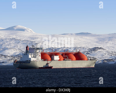 Lng arctic voyager, finnmark, Norvegia Foto Stock