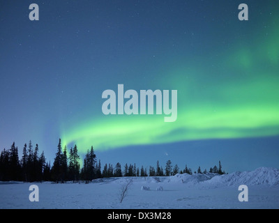 Luci del nord, Kiruna, Norrbottens län, lappland, Svezia Foto Stock