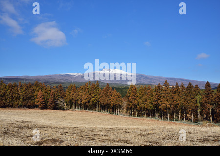 Vista della montagna Hanla in Jeju Island, Corea Foto Stock