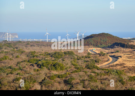 Vista da Baekyaki cono vulcanico di Jeju Island Foto Stock