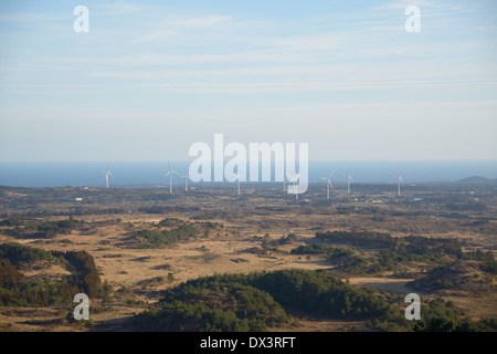 Vista da Baekyaki cono vulcanico di Jeju Island Foto Stock