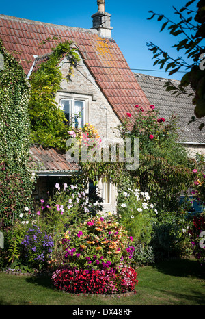 Inglese attraente giardino anteriore con biancheria da letto di arrampicata e piante perenni Foto Stock