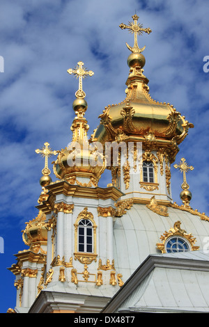 Cupole dorate della chiesa di San Pietro e Paolo a Peterhof Palace. San Pietroburgo, Russia Foto Stock