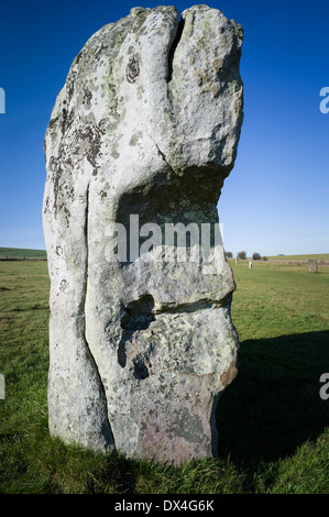 Vecchio Avebury Stone recanti il contorno di un volto o di Monster Foto Stock