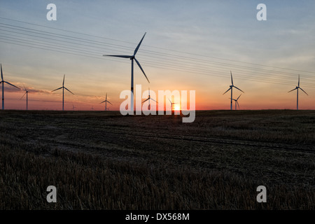 Zehdenick, Germania, centrali eoliche al tramonto Foto Stock