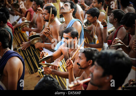 Musicisti al tempio indù festival, Thrissur, Kerala, nel sud dell'India, India Foto Stock