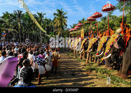 Tempio indù festival con numerosi elefanti, Thrissur, Kerala, nel sud dell'India, India Foto Stock