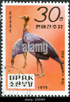 Francobollo stampato in Corea del Nord, mostra gli animali dello zoo centrale, Pyongyang - Vulturine le faraone (Acryllium vulturinum) Foto Stock