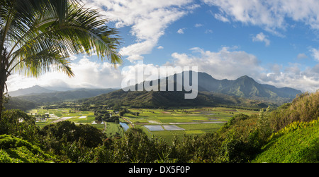 Bella valle di Hanalei da Princeville si affacciano in Kauai, Hawaii, STATI UNITI D'AMERICA Foto Stock