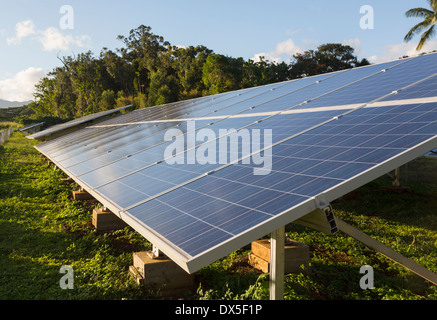 Grandi imprese industriali di energia solare Installazione pannello in un ambiente tropicale - Energie rinnovabili Foto Stock