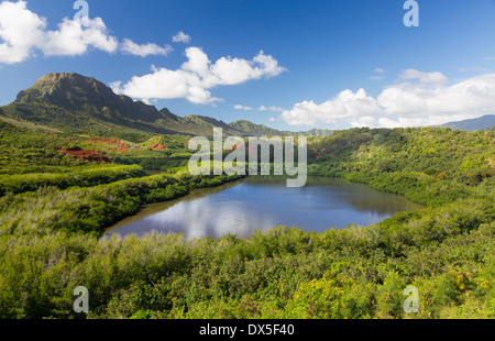 Bellissimo paesaggio Hawaii con laghetto di pesci noti come Menehune o Alekoko nei pressi di Lihue sull Kauai nelle Hawaii, STATI UNITI D'AMERICA Foto Stock