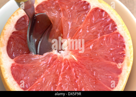 Vista ravvicinata di una metà del pompelmo rosso in una ciotola con un cucchiaio inserito nella pasta. Foto Stock