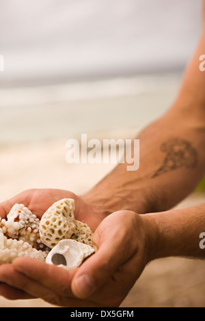 L'uomo coppettazione conchiglie nelle mani, close up Foto Stock