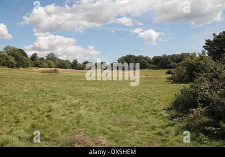 Vista generale oltre la battaglia del campo di battaglia di Hastings, Battle, East Sussex, Regno Unito Foto Stock