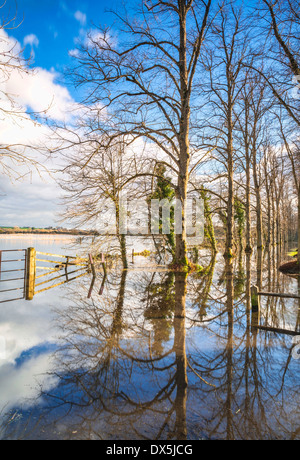 Le inondazioni sul campo e il percorso a Arundel, West Sussex, Regno Unito Foto Stock