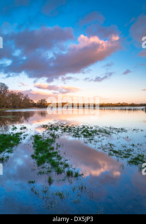 Inondazioni in campo a Arundel, West Sussex, Regno Unito Foto Stock