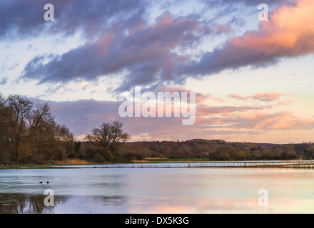 Inondazioni in campo a Arundel, West Sussex, Regno Unito Foto Stock