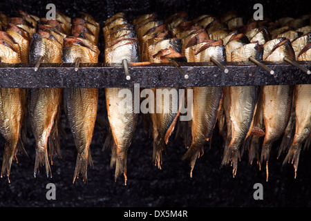 Scena da Enhuizen Zuiderzee Open Air Museum North Holland, Paesi Bassi: il fumo con salmone in un forno tradizionale. Foto Stock