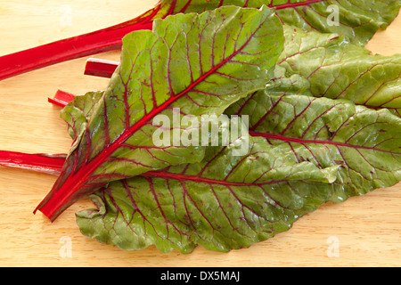 Rabarbaro con il rosso e il verde delle foglie, direttamente sopra, vicino ad alto angolo di visione Foto Stock