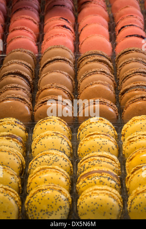 Un display di vario amaretti (Francia). Présentation de macarons variés (Francia). Foto Stock