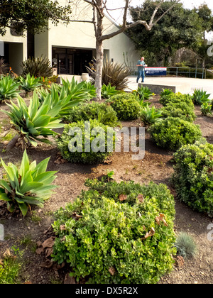 Un ufficio postale in Laguna Niguel, CA, è circondata dalla siccità piante resistenti che non richiedono nessuna irrigazione. Nota succulente. Foto Stock