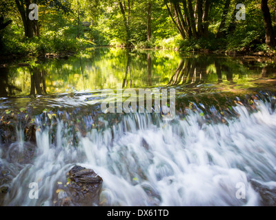 Acqua pura di montagna cascate giù le rocce in foreste incontaminate del Strandja parco naturale, Bulgaria Foto Stock