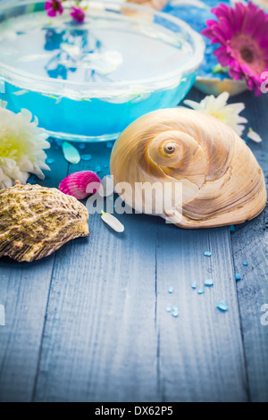 Elementi di trattamenti spa su una tavola di legno Foto Stock