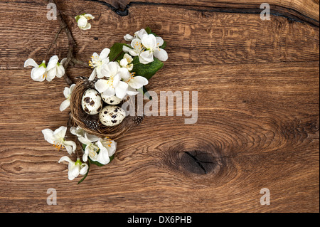 Melo fiori e nido di pasqua con uova sul legno rustico sfondo. primavera sbocciano i fiori Foto Stock