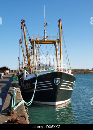 La pesca a strascico ormeggiata nel porto di Newlyn, Penzance, Cornwall, Regno Unito Foto Stock