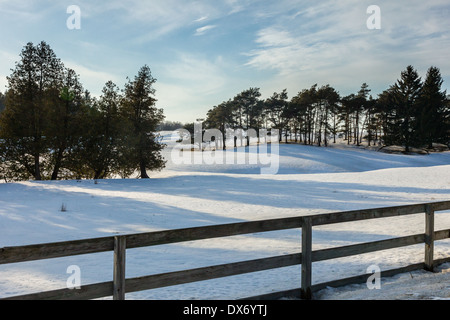 Scena di neve in una fattoria nel sud ontario. Foto Stock