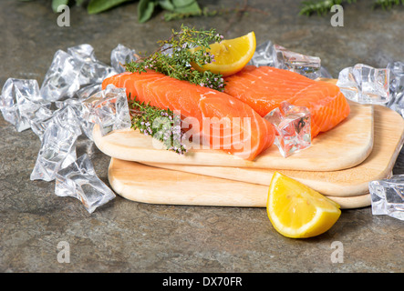 Raw trota salmone pesce fresco con erbe di timo, limone e ghiaccio. alimentazione sana. Il pesce Foto Stock