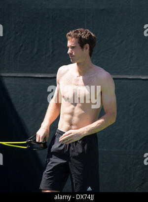 Key Biscayne, Miami, Florida, Stati Uniti d'America. Xix marzo, 2014. Crandon Park Tennis Center, Key Biscane, Miami, Florida, Stati Uniti d'America. Xix Marzo 2014. ANDY MURRAY di Gran Bretagna delle pratiche di Crandon Park Tennis Center, Key Biscane, Miami, Florida al Sony Open Tennis Tournament. Mercoledì 19 marzo 2014. Credito: AMN IMMAGINI/ Alamy Live News Foto Stock