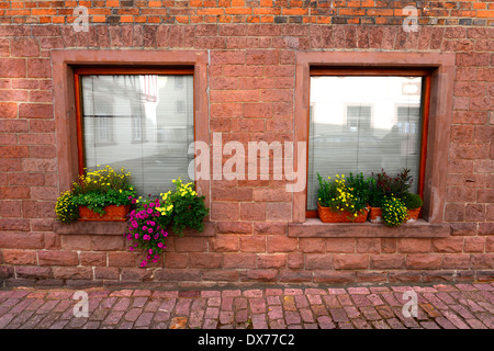 Windows Fioriere Wertheim Germania de Europa Foto Stock