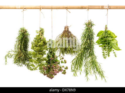 Appendere i grappoli di erbe fresche isolati su sfondo bianco. rosmarino, basilico, timo, origano e maggiorana Foto Stock