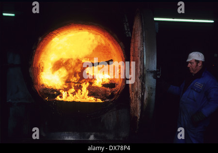 Sospetto di ESB, bovini sospetti con il morbo della mucca pazza sono inceneriti. Midlands UK Foto Stock