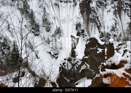 Changbaishan Riserva Naturale Nazionale d'inverno. Provincia di Jilin, Cina Foto Stock