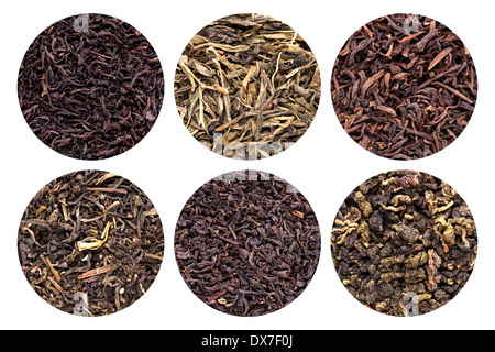 Raccolta di 6 diversi tipi di tè isolati su sfondo bianco. Foto Stock